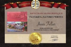 2024-diplome-Concours-MAA-2024-Mention-Tellier